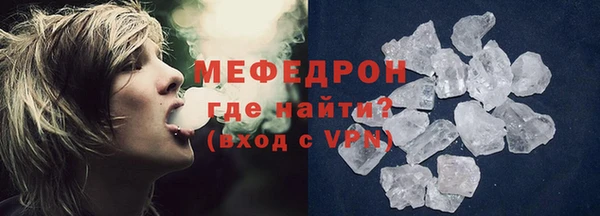 индика Дмитриев