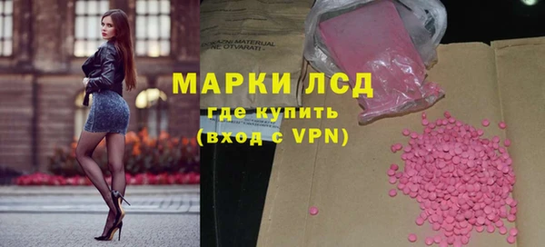 индика Дмитриев