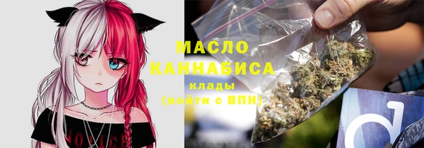индика Дмитриев
