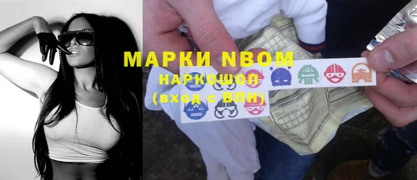 сатива Дмитровск
