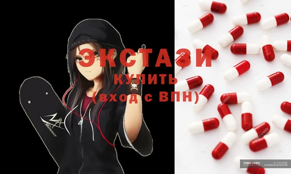 гашик Дмитров