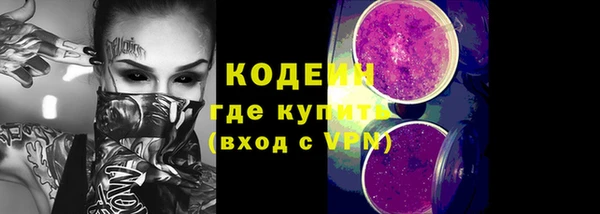 гашик Дмитров