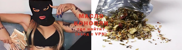 гашик Дмитров