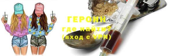 индика Дмитриев