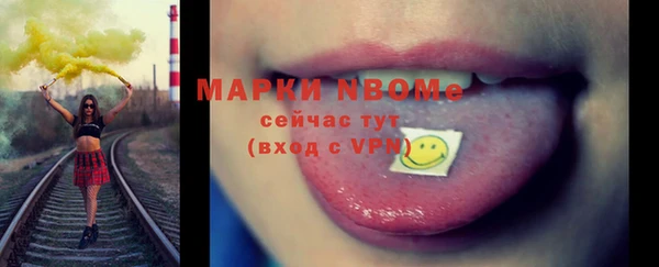 сатива Дмитровск