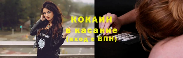 альфа пвп Елизово