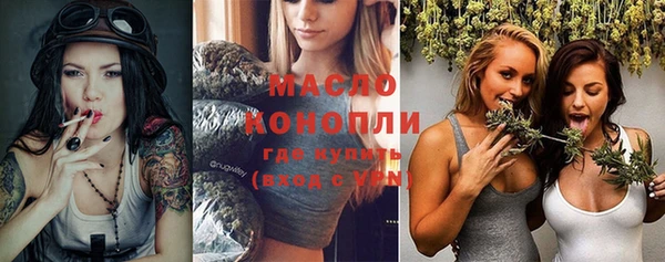 индика Дмитриев