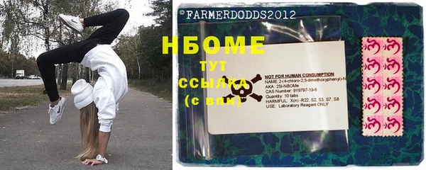 индика Дмитриев