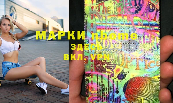 индика Дмитриев