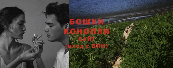 гашик Дмитров