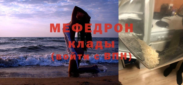 гашик Дмитров
