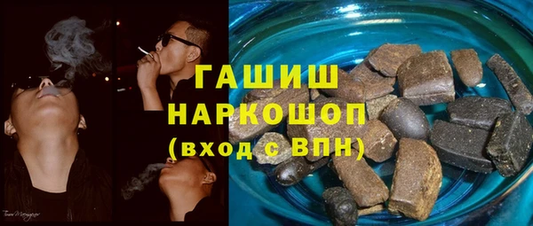 гашик Дмитров