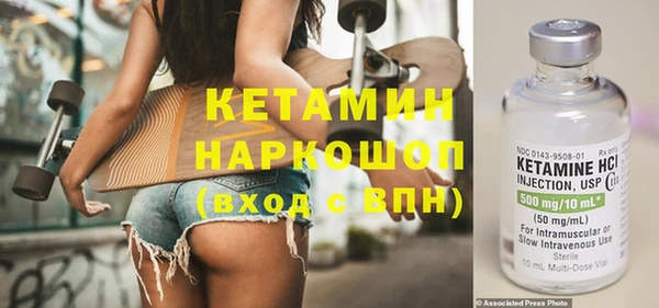 сатива Дмитровск