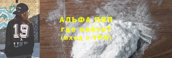 гашик Дмитров