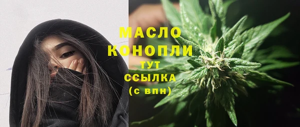 сатива Дмитровск