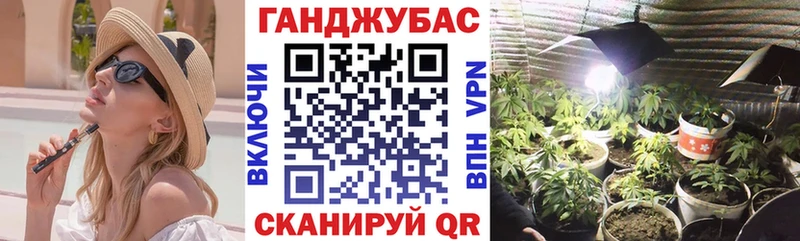 Марихуана семена  omg как зайти  Судогда 